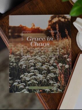 Grace in Chaos - A Study On Motherhood